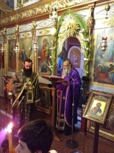 20190425_204425 (Copy)